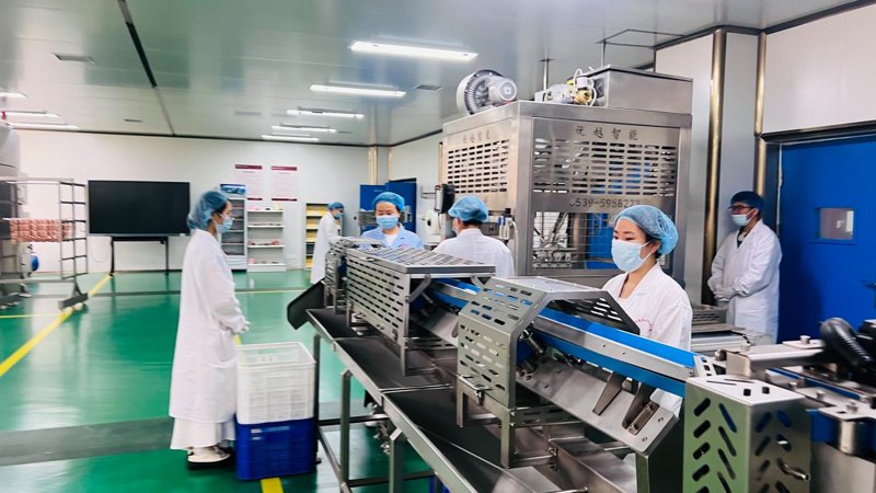 食品生产：从田间到餐桌的高品质之路